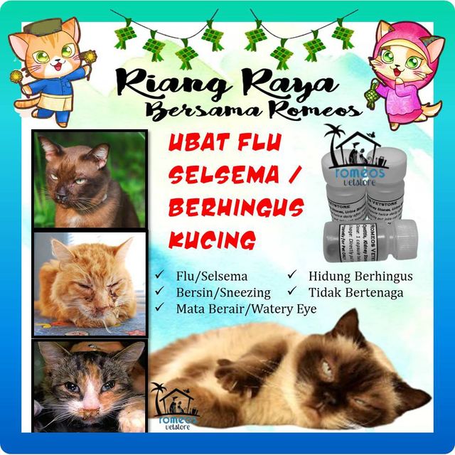 Thunderdog - PetFinder.my Mobile